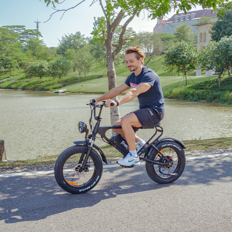 Freego elektrický bicykel DK200 - 1200W čierny